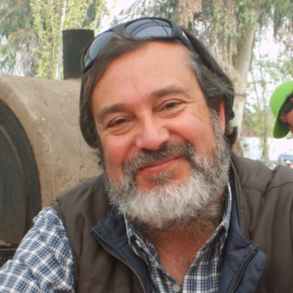 Según Marcial Beltrami, profesor de la Facultad de Ciencias Sociales U. de Chile, el apego entre nosotros y los animales no humanos se debe, por un lado, a una base biológica evolutiva que confirma que en los mamíferos están presentes las emociones básicas. 